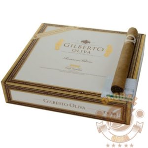 Gilberto Oliva Reserva Blanc 7x50 Churchill
